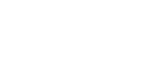 DAVIT Torino 1900